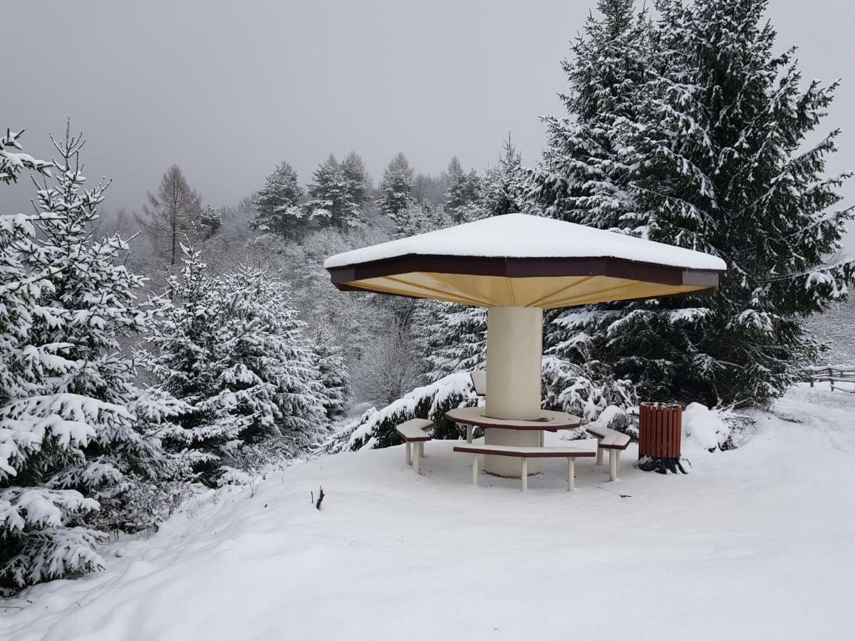 Domki I Pokoje U Ilony Krościenko Exteriör bild